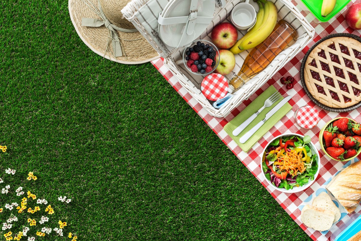 Jak zorganizować udany piknik?